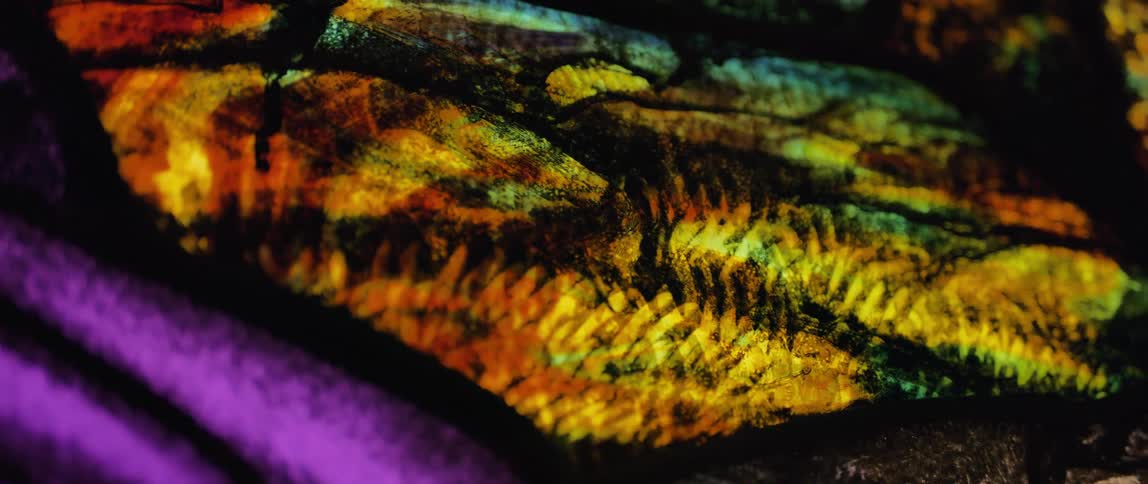 A close up of some colorful fabric