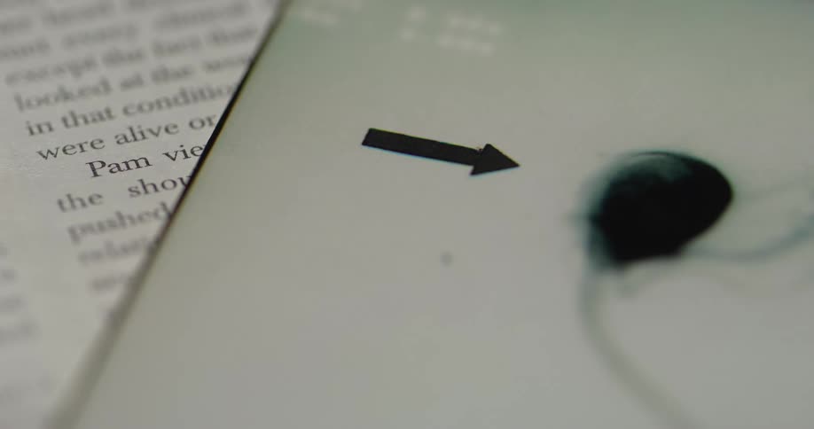 Drawing of an arrow pointing to a black ball with text beside it