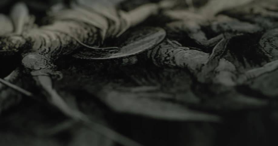 A footage of a black and white painting