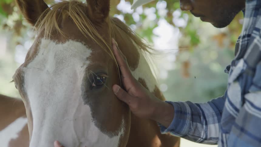 Man standing outdoors near a tree on an autumn day pets a horse