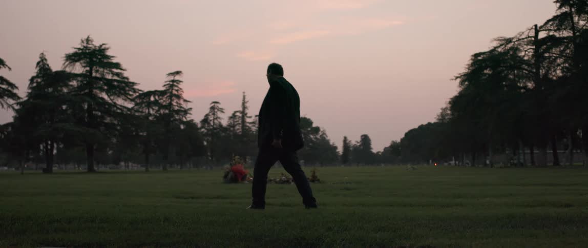 Silhouette of a man walking on grass in a square with trees