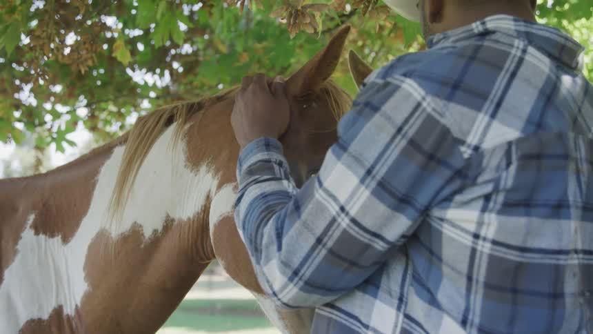 A person wearing a plaid shirt gently strokes the face of a pinto horse with a lightcolored mane