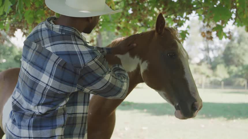 Rancher lovingly petting a horse under a tree