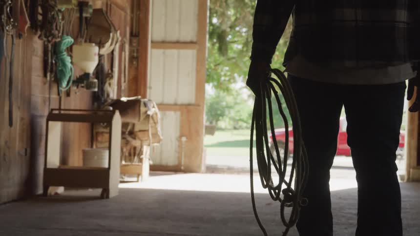 The cowboy walks through the stable carrying a lasso