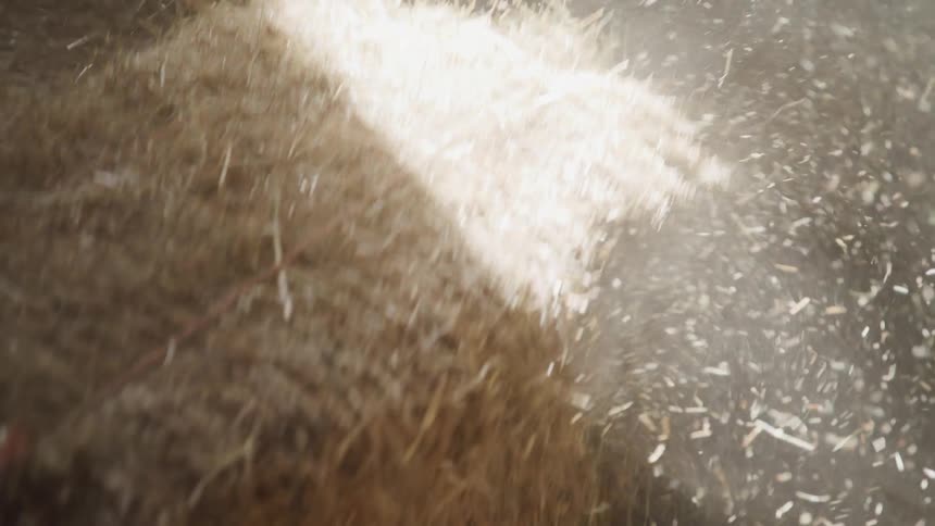 A person moves a hay bale