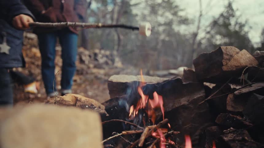 A child roasts a marshmallow on the campfire