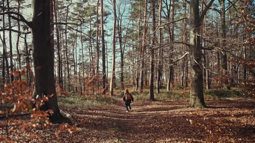 A child running along a trail of dry leaves between the trees