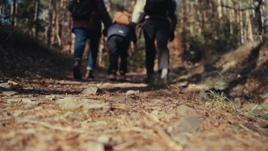 Three people are hiking in the woods together