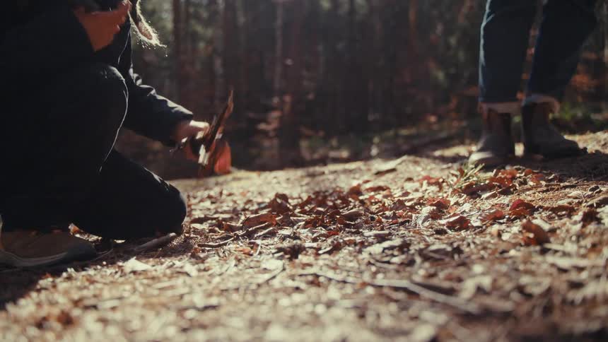 Two people in a forest with one of them picking up branches from the ground