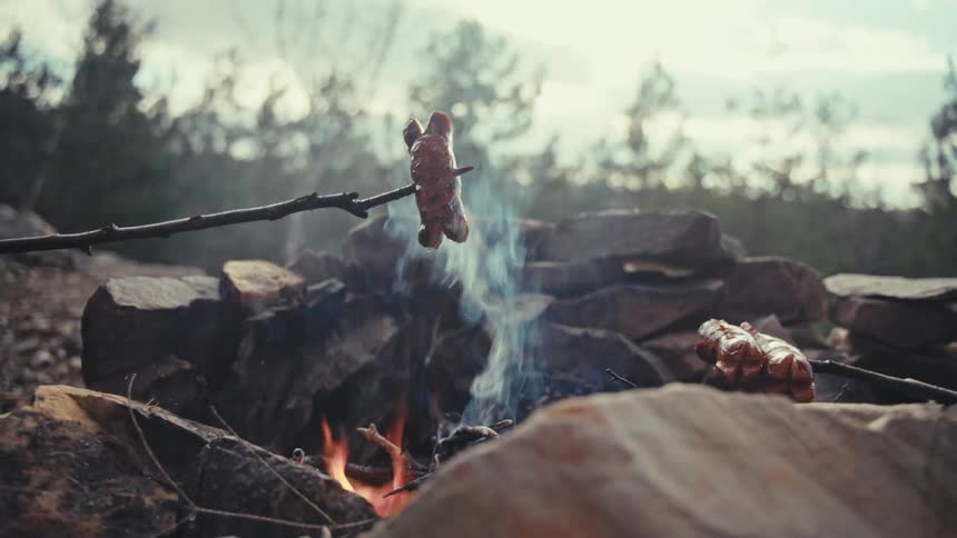 Cooking hot dogs with a branch over a campfire in the woods