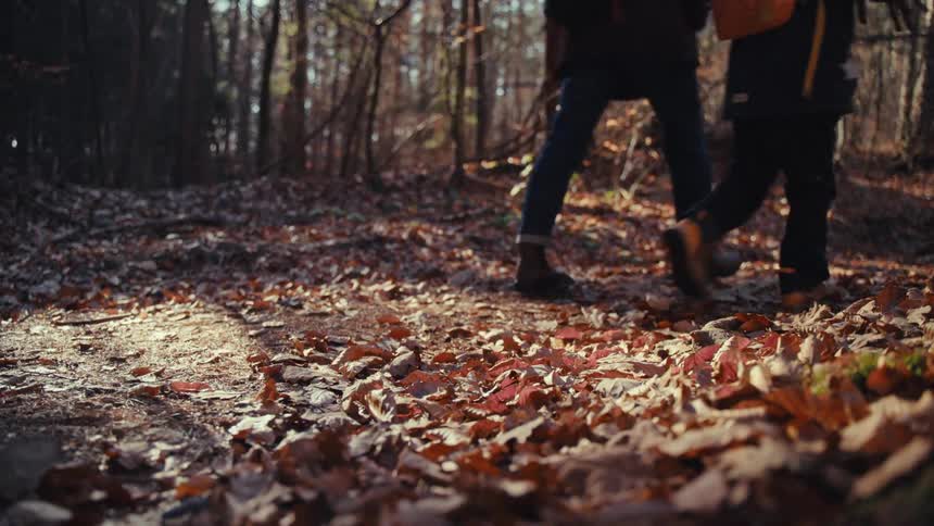 Children hike through the forest covered in leaves