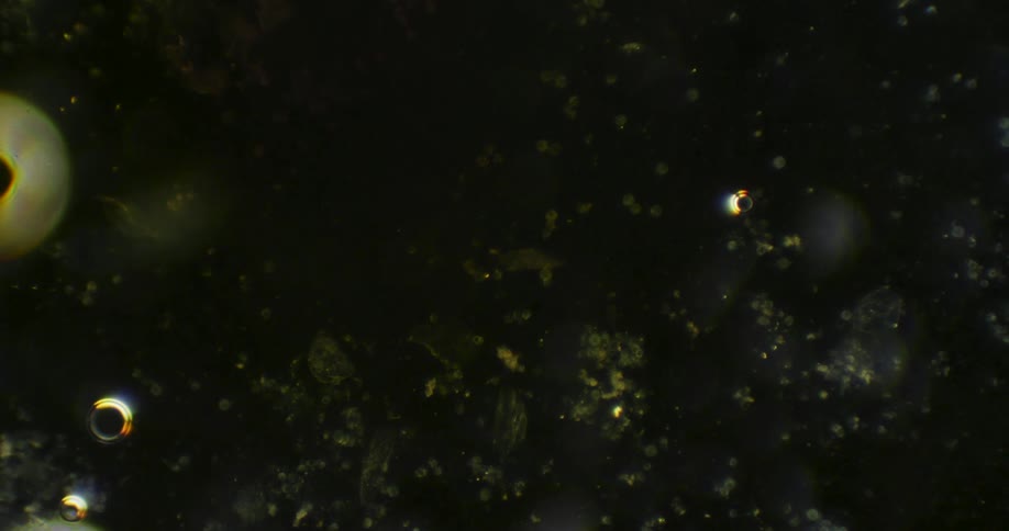 Tiny particles and illuminated bubbles slowly drifting in a dark liquid