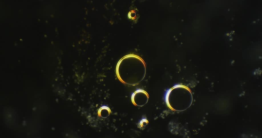 Liquid texture with bubbles against an abstract black background