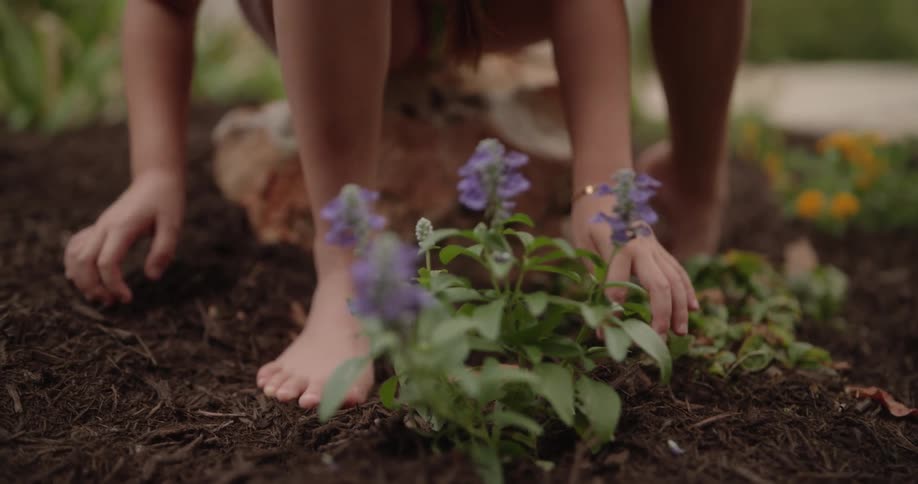A girl pushes the soil around the flowers