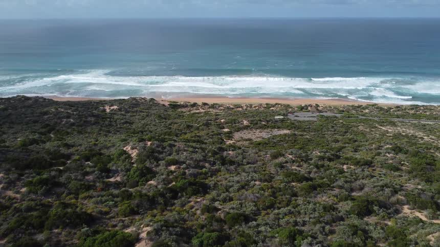 Landscape of a land with vegetation and a beach in the background