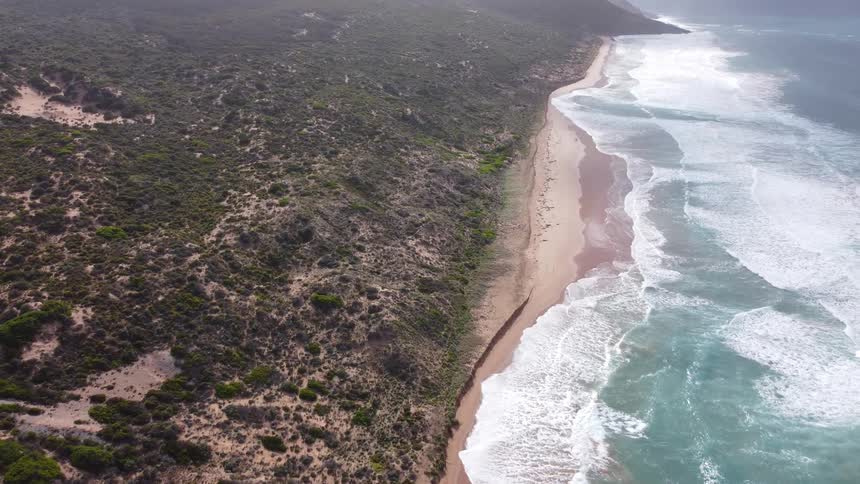 Aerial panoramic view of mountains with vegetation on the edge of a long beach
