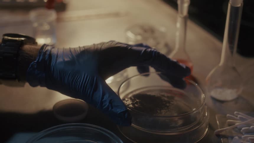 The scientist grabs the petri dish and shakes it