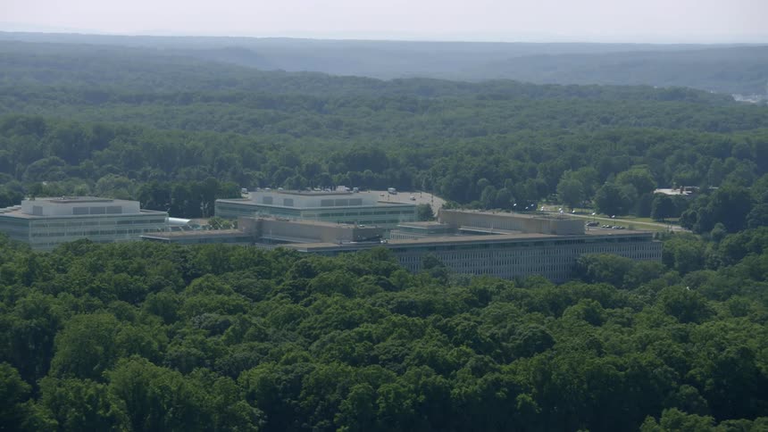 A dense forest surrounds the buildings ahead