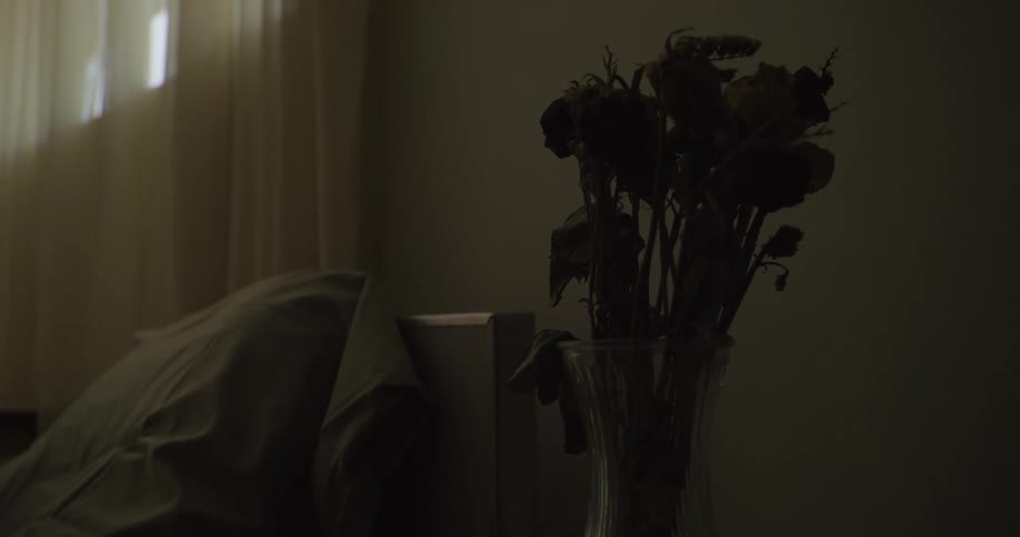 A camera pans right over a static scene with a bed pillow and vase filled with decayed flowers