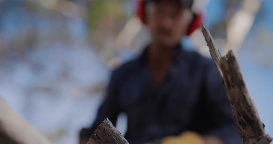 A man is cutting a branch with a chainsaw