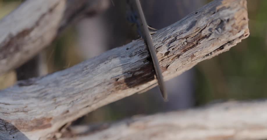 A worker is cutting a piece of wood with a chainsaw