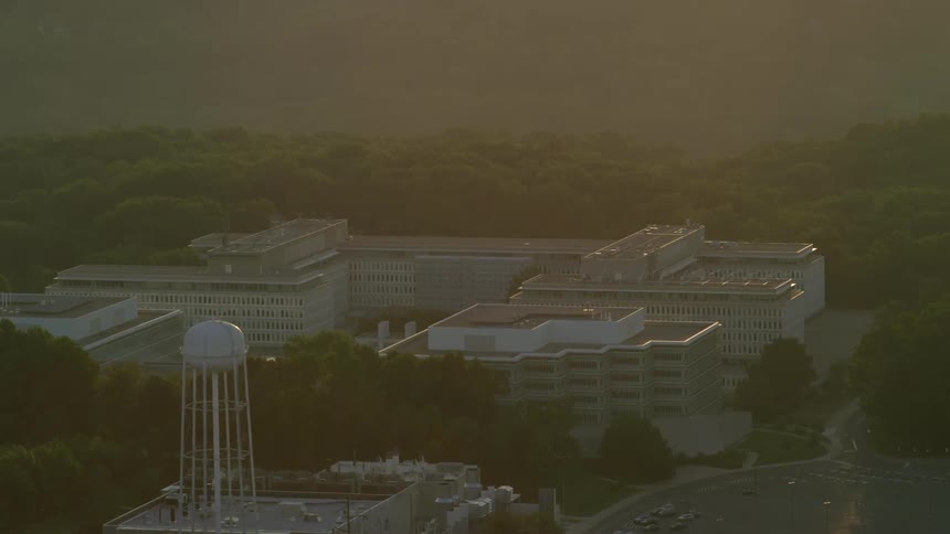 A higher view of some buildings surrounded by trees in the city