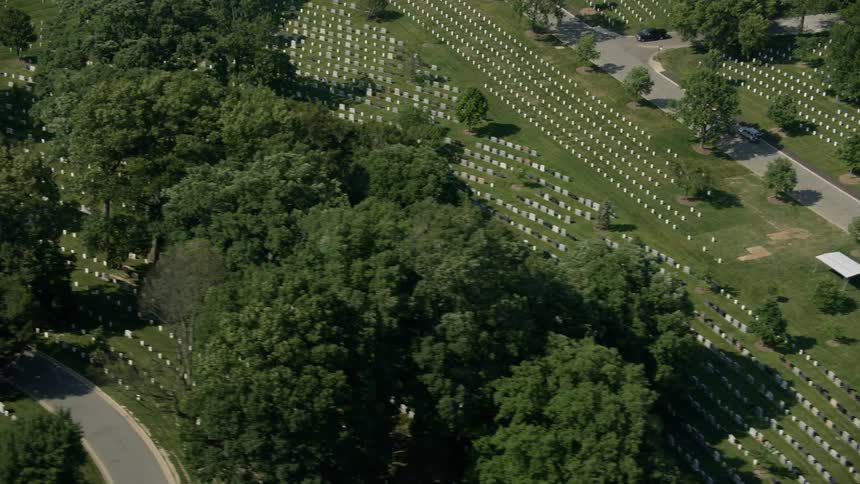 Aerial view of farmland and trees