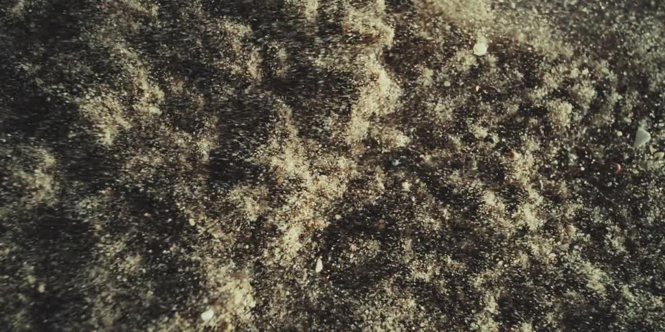 Ground Coming Alive as Particles Rise Under Rhythmic Force
