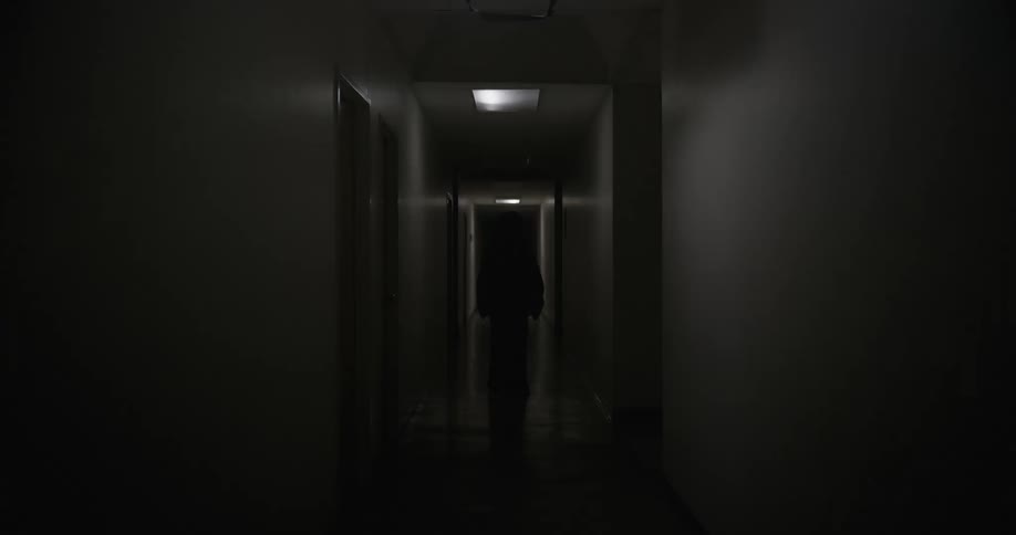 A shadowy motionless figure stands ominously at the end of a dim hallway as the lights blink rapidly heightening the eerie and unsettling atmosphere
