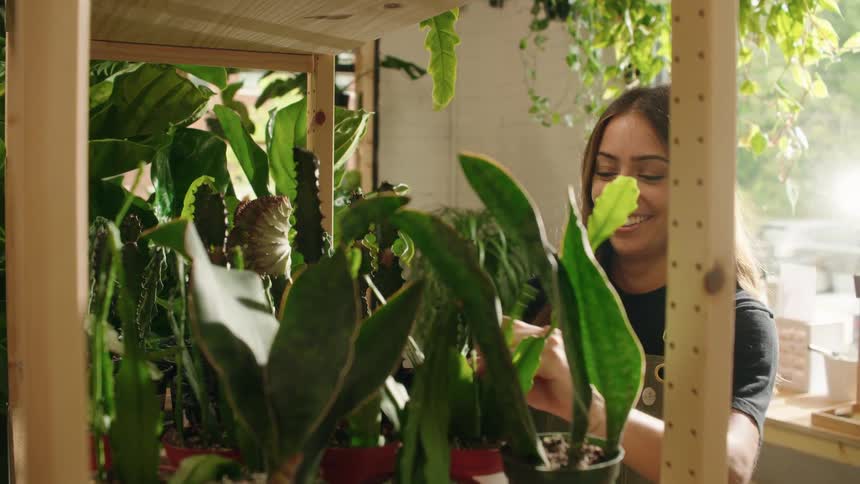 A woman adjusts several plants on a wooden shelf
