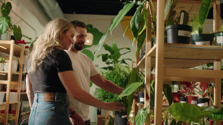Man and woman walks in a florist shop and picks up a potted flower at daytime