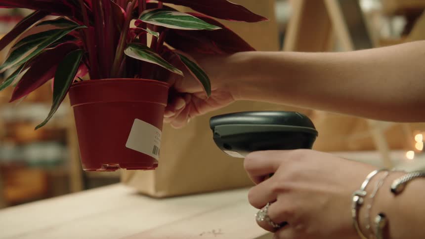 Employee ringing up potted plant with scanning gun