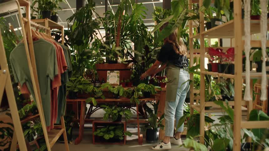 Female clerk places a plant in a plant display in a store