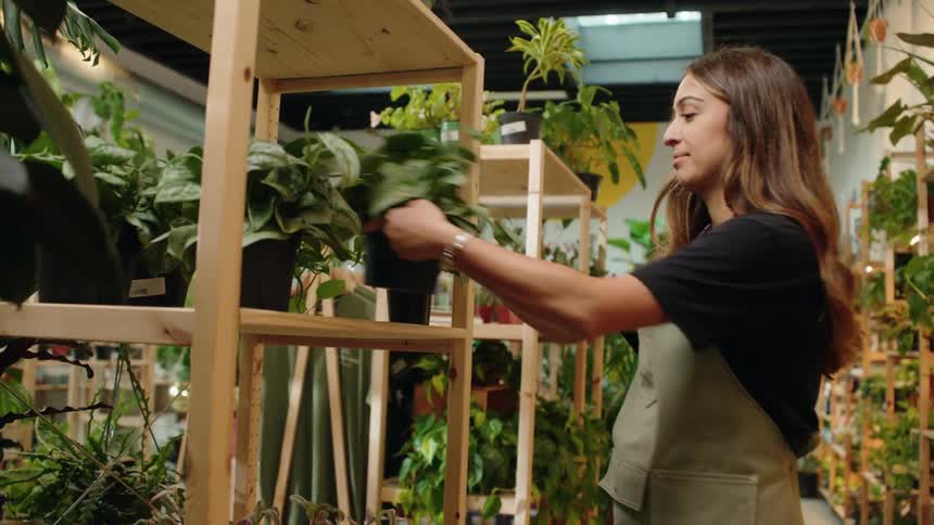The employee stocks plants on the store shelves