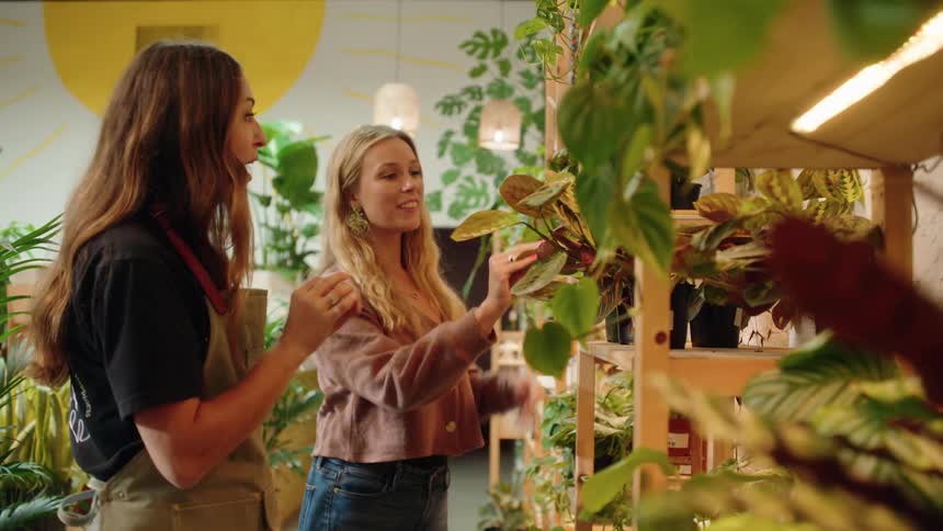 Two women are smiling and talking while looking at a shelf of vibrant indoor plants in a cozy welllit shop or workspace