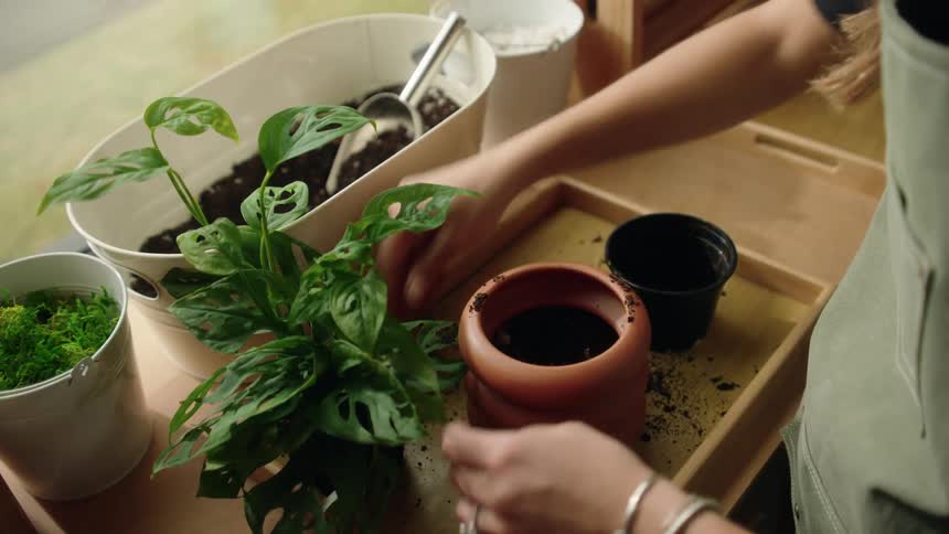 A woman transplants a flower plant into a vase filled with soil beside her window at midday