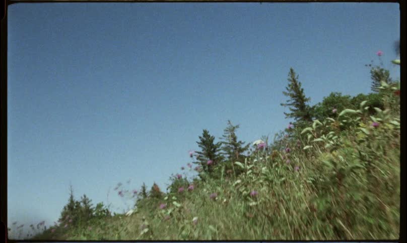A grass field during the day