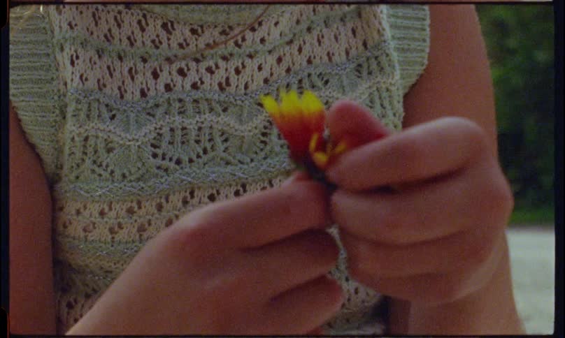 A young girl joyfully plucks flowers and throws them into the air while playing outdoors on a sunny day