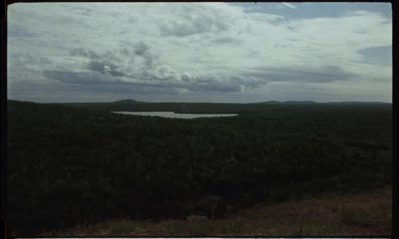 A wide aerial shot captures a dense forest landscape with a distant lake under a cloudy sky