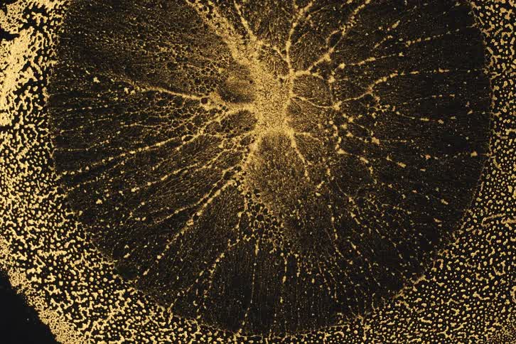 A microscopic or highly magnified abstract pattern resembling an explosion or radiating texture in golden hues