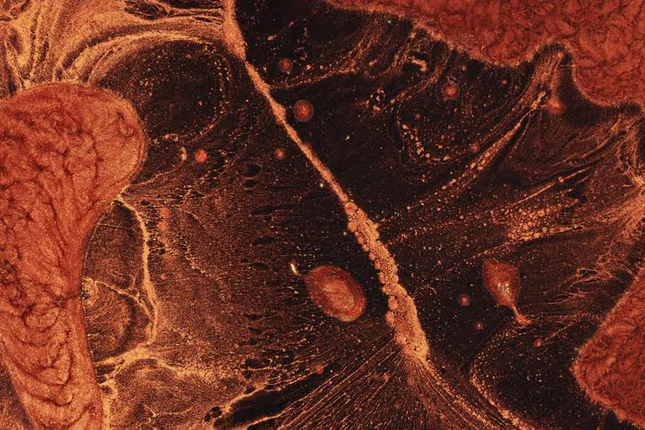 An intricate abstract pattern of swirling copper liquid flows dynamically over a deep black background creating a mesmerizing marbled effect