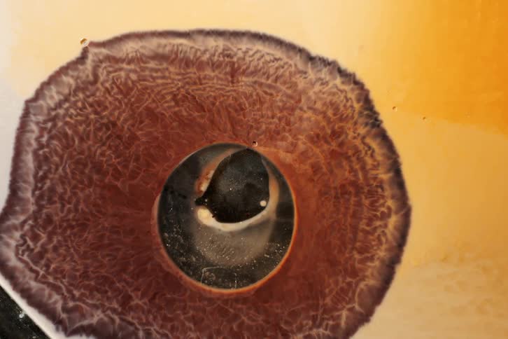 A viscous orangecolored liquid with a round shape in the center