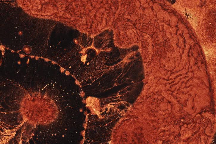 Swirling patterns of metallic orange and black