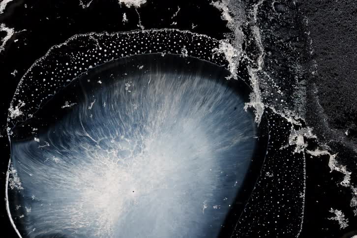 A small body of water with some white foam on top that is breaking away from a larger piece