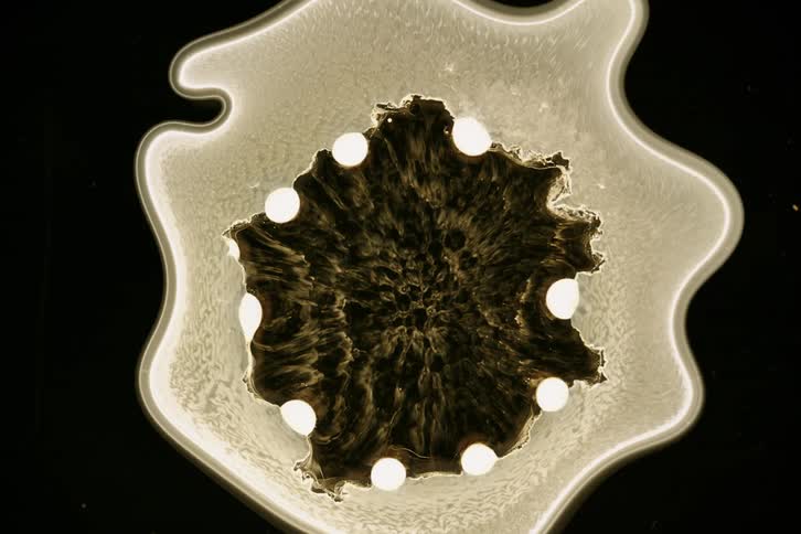 A beige colored liquid object is expanding in an abstract way within itself