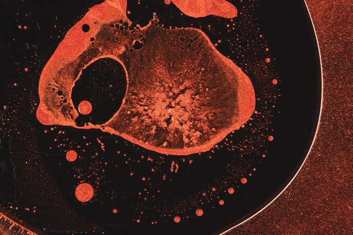 A black liquid with a little white foam on its surface was thrown onto the floor and moving slowly