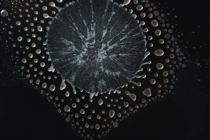 The artwork has flowing ink that is closing in a circle