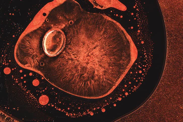 A black liquid with brown textures on its surface poured onto the floor