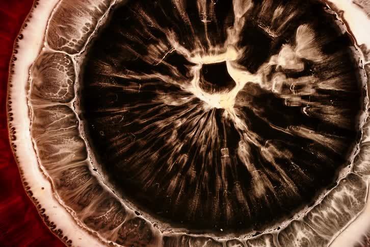 Swirling patterns of dark brown and white radiating from a central area resembling an eye or cosmic phenomenon