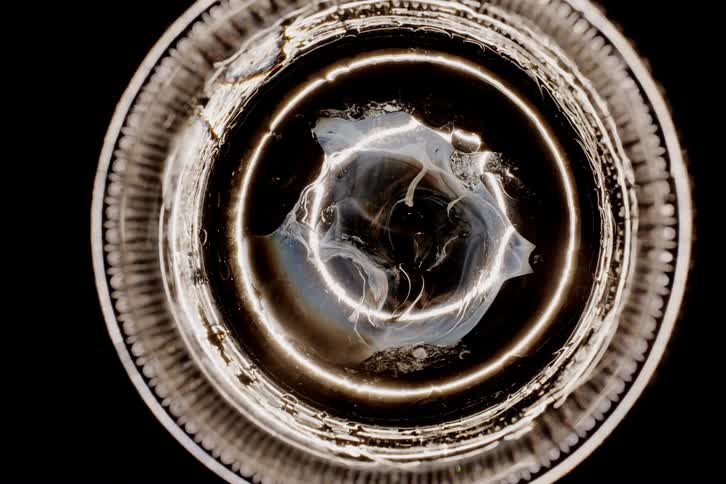 The flowing ink mixes under the light